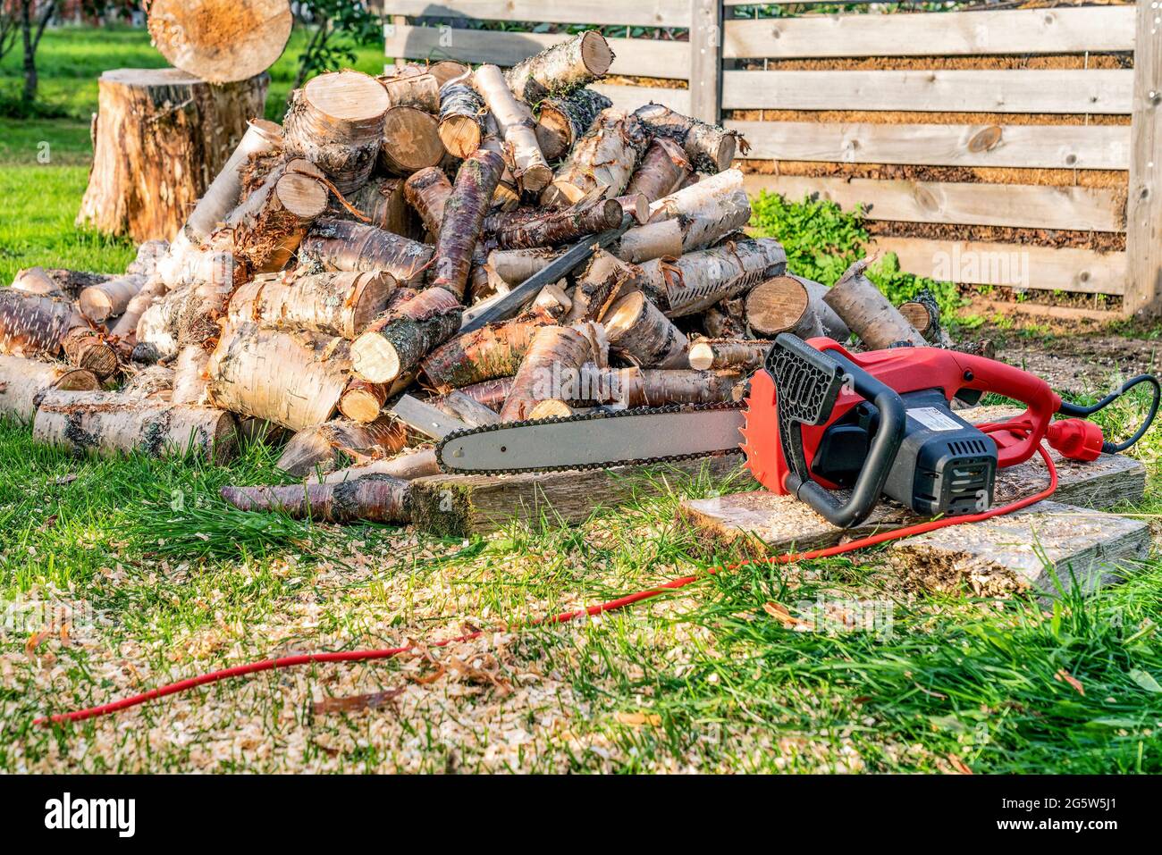 Großer Stapel runder Holzschnitte, rote elektrische Kettensäge. Die Baumstämme werden aus den in einem Haufen gestapelten Birkenstämmen gesägt. Birkenbrennholz. Kompost e Stockfoto