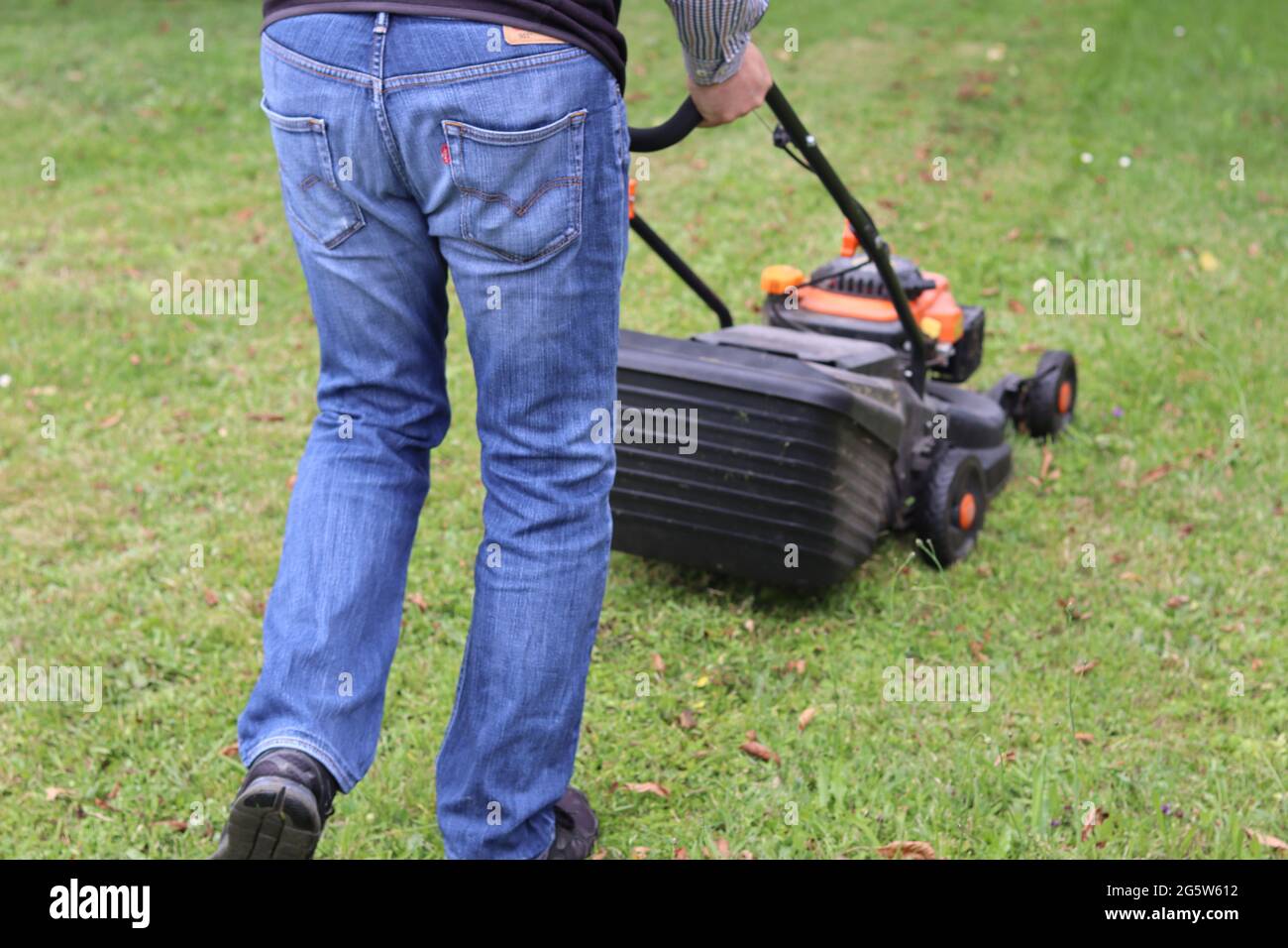 Mann in blauer Jeans mäht grünen Rasen mit einem Rasenmäher. Im Sommer Gras schneiden. Besitz eines kleinen Unternehmens für die Gartenarbeit. Stockfoto