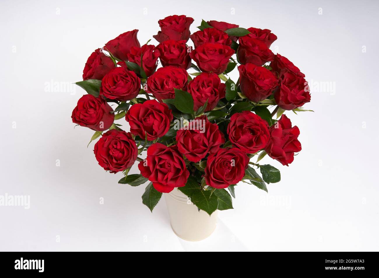 Zwei Dutzend rote Rosen in einer Vase auf weißem Hintergrund zum Valentinstag Stockfoto