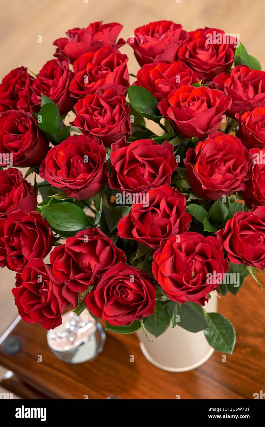 Zwei Dutzend rote valentinsrosen in einer Vase auf einem Couchtisch für besondere Anlässe wie den Valentinstag Stockfoto