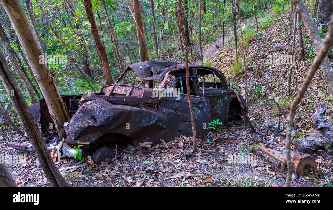 Ruinierte, rostige Autos mitten im Wald. Stockfoto