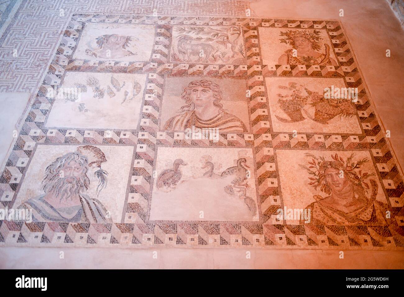 Die römischen Mosaiken im Haus von Dionysos im archäologischen Park Nea Paphos in der Stadt Paphos auf Zypern Stockfoto