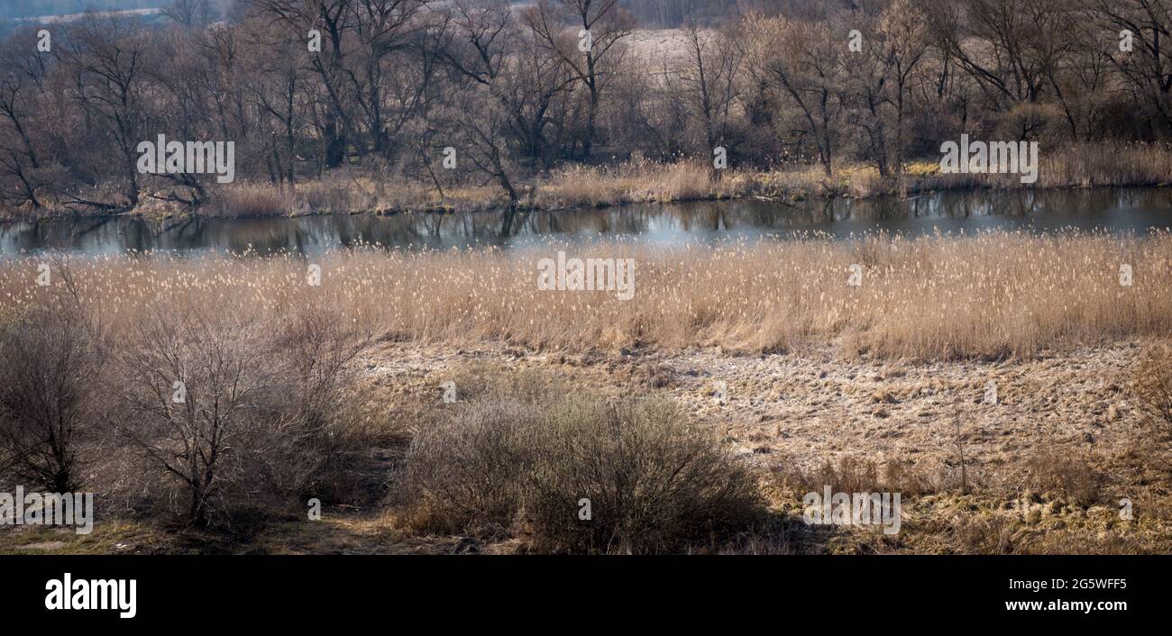 Schöne Landschaft mit einem Fluss mit ruhigem Wasser, neben einem Quellwald in der Natur Stockfoto