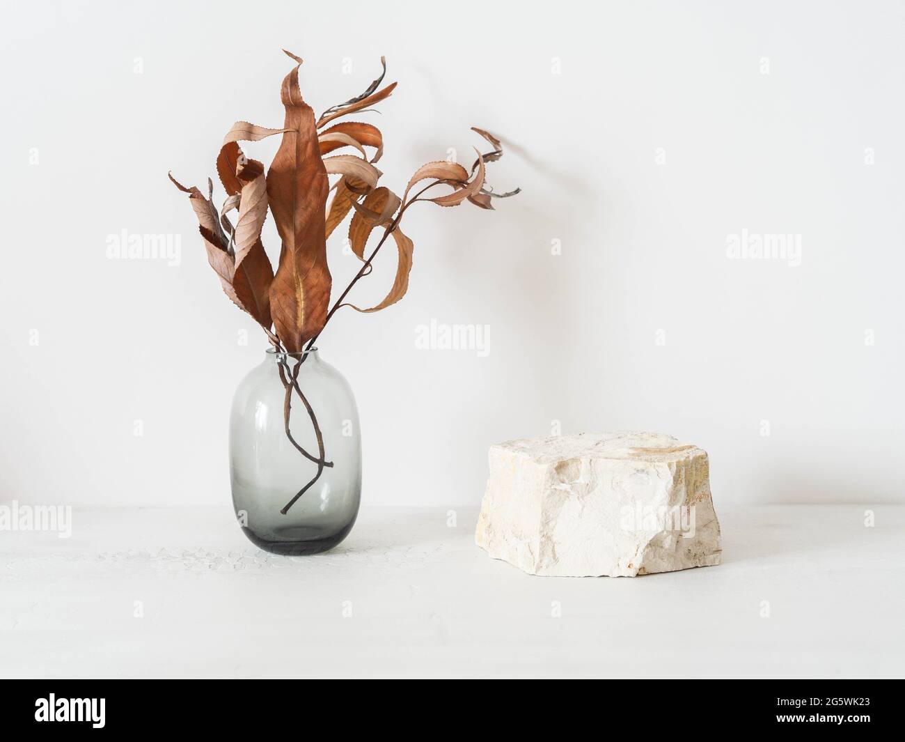 Graues Natursteinpodium auf weißem Hintergrund, Plattform für Produktauslage und Herbstzweige in Vase. Rohling für Mockup-Design. Vorderansicht. SPA kopieren Stockfoto