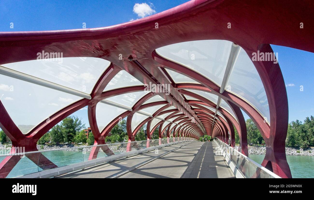 Peace Bridge Calgary, Alberta Stockfoto