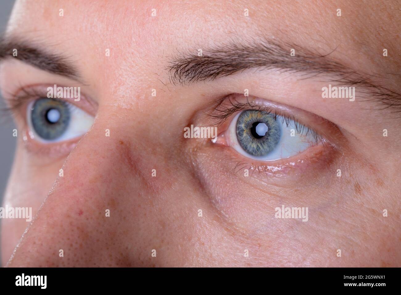 Nahaufnahme der blauen Augen des kaukasischen Geschäftsmannes, isoliert auf grauem Hintergrund Stockfoto