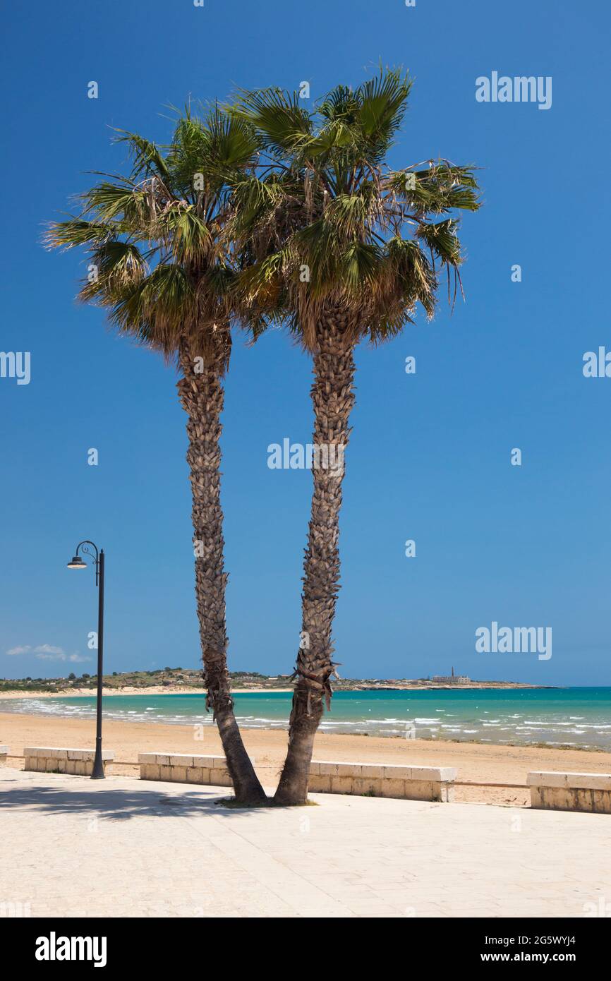 Sampieri, Ragusa, Sizilien, Italien. Zwillingspalmen ragen über dem menschenleeren Sandstrand, das türkisfarbene Wasser des Mittelmeers dahinter. Stockfoto