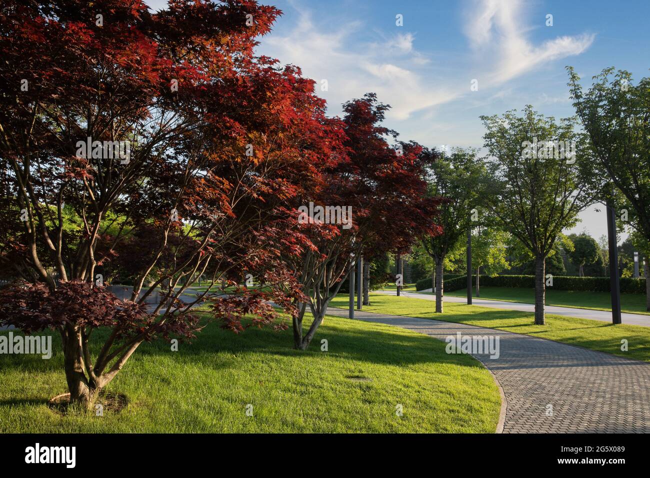 Natur im Park Galizkogo, Krasnodar, Russland Stockfoto