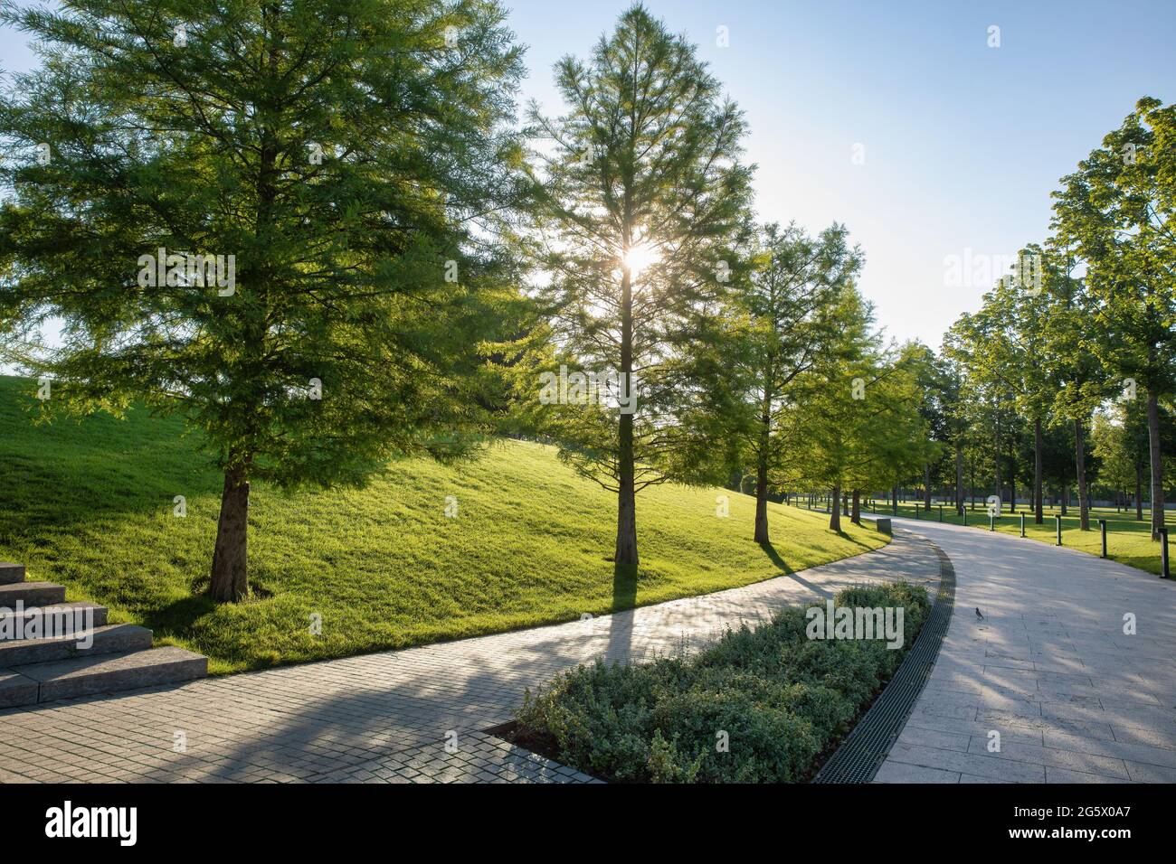 Natur im Park Galizkogo, Krasnodar, Russland Stockfoto