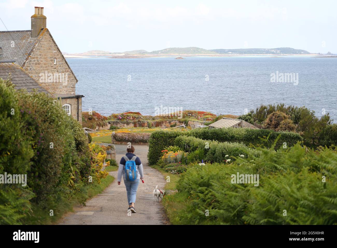 Eine Frau geht mit ihrem Hund am Meer in der Nähe des Schlosses in St. Mary's, Isles of Scilly, Cornwall, Großbritannien Stockfoto