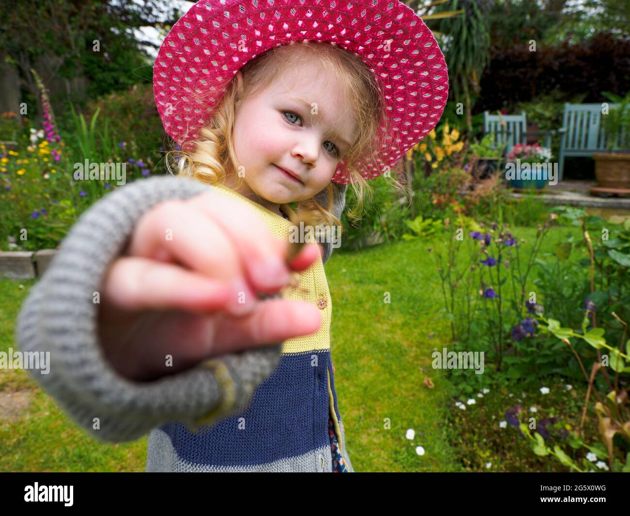 Kleinkind zeigt im Garten, Devon, Großbritannien, Pflanzenknospen zur Kamera Stockfoto