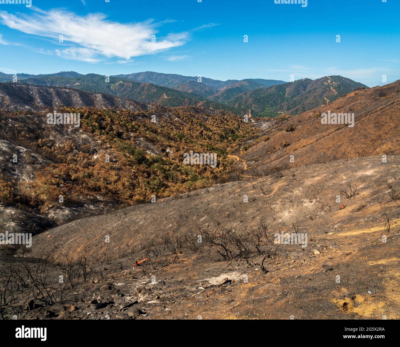 Los Padres National Forest, Waldbrand Stockfoto