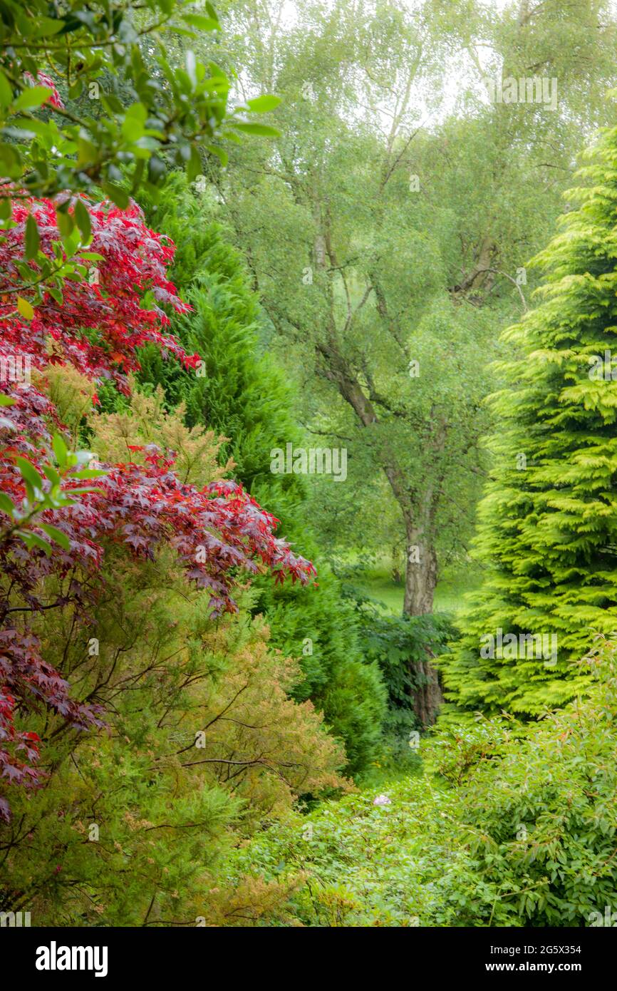 Linda Vista Gardens, Abergavenny. Stockfoto