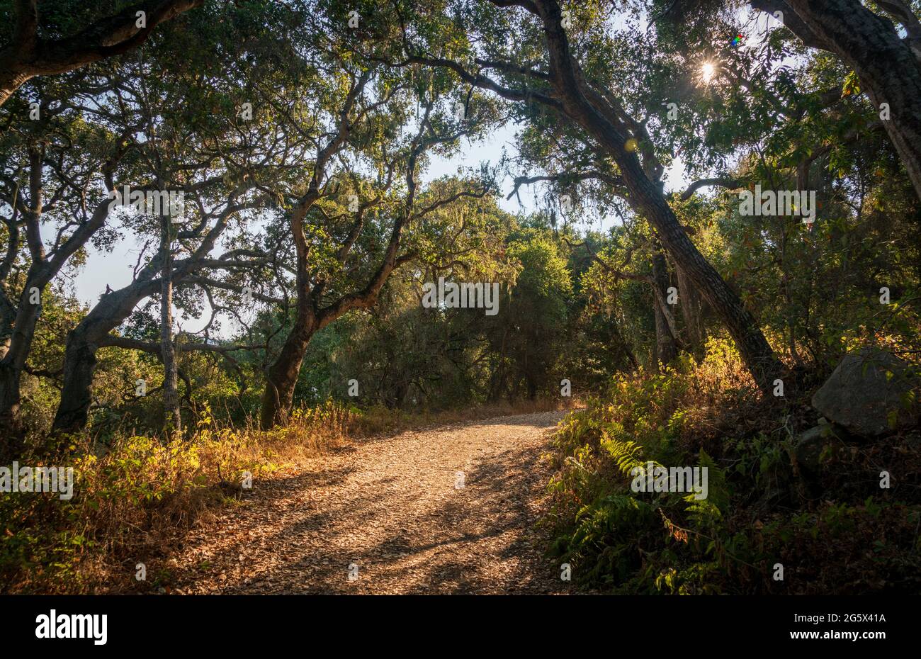 Garland Ranch Regional Park in Carmel Stockfoto