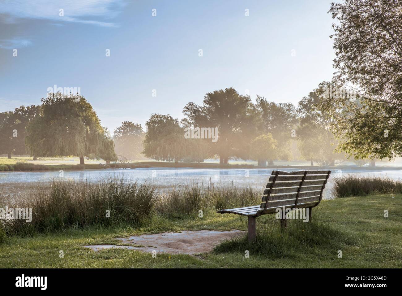 Frühe Sonne und Nebel am Reiher Teich im Buschy Park Surrey Wenn ich auf öffentlichem oder privatem Grundstück bin, bin ich bereit, die volle Verantwortung für jedes Copyright o zu übernehmen Stockfoto
