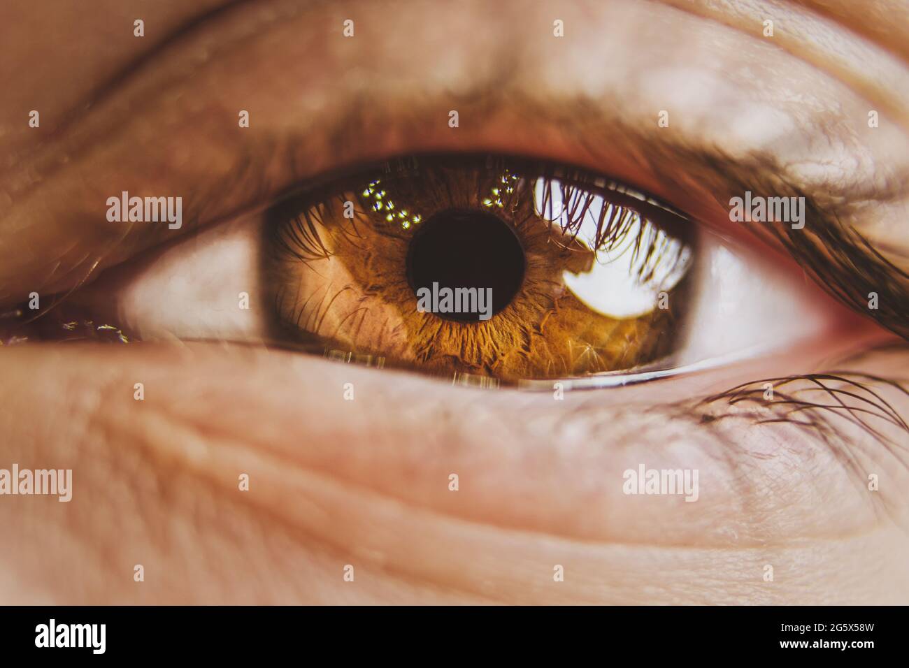 Nahaufnahme des Planeten Erde in den Augen eines Kindes. Blick eines Kindes auf die Umwelt. Stockfoto