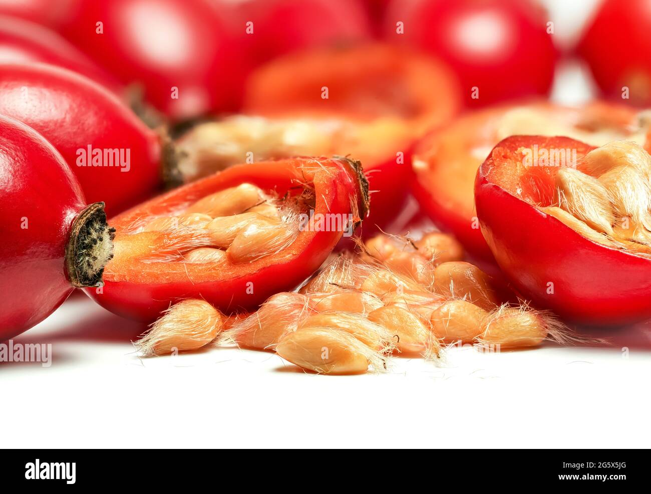 Rosehips Rosa Canina Früchte, halbiert Samen sichtbar Makro Nahaufnahme Detail, isoliert auf weißem Hintergrund Stockfoto