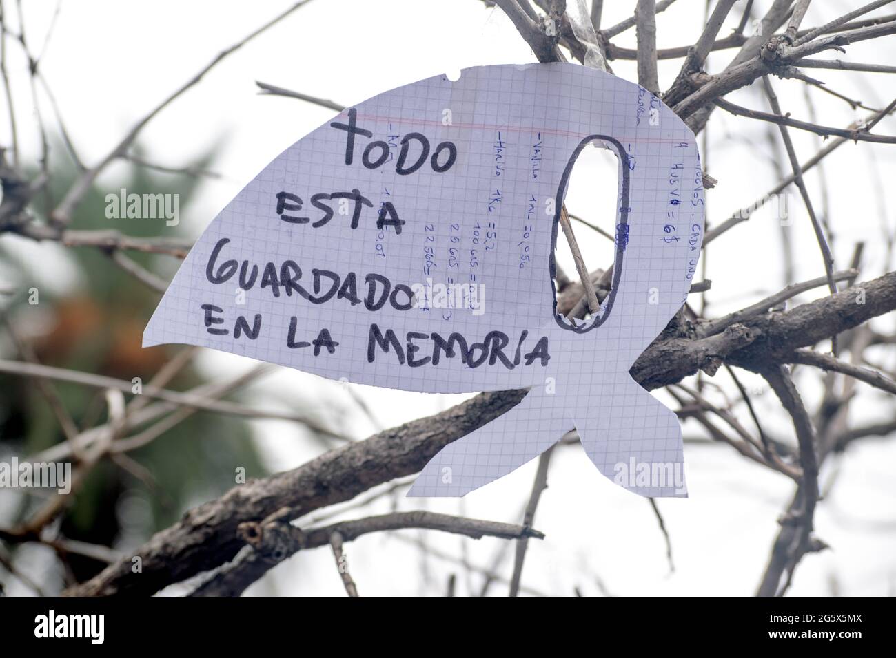 Das weiße Taschentuch (früher eine Windel), das von den Müttern und Großmüttern der Plaza de Mayo getragen wurde, ist ein Symbol für den Kampf um Gerechtigkeit. Stockfoto