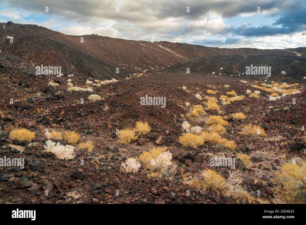 Amboy-Krater im Südosten Kaliforniens Stockfoto