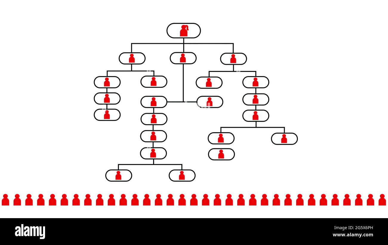 3d-Illustration - Enthüllen Organigramm Konzept mit Frau Führerin Stockfoto