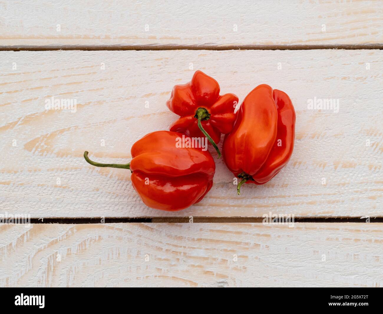 Grundansicht der roten Scotch Bonnet Paprika auf einem weißen holzgetäfelten, rustikalen Hintergrund. Stockfoto