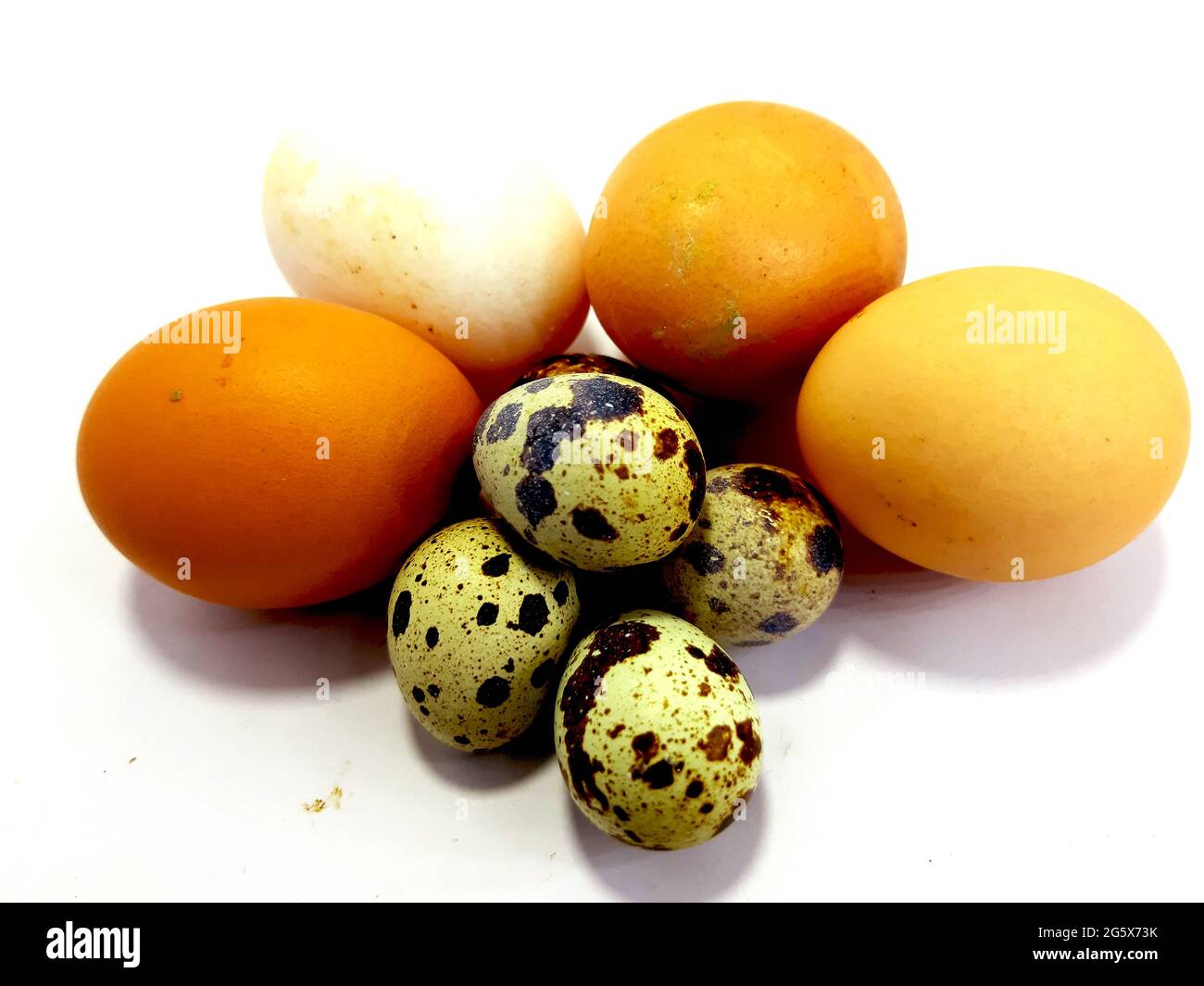 Verschiedene Größe, verschiedene Art Eier im gleichen Bild Stockfoto