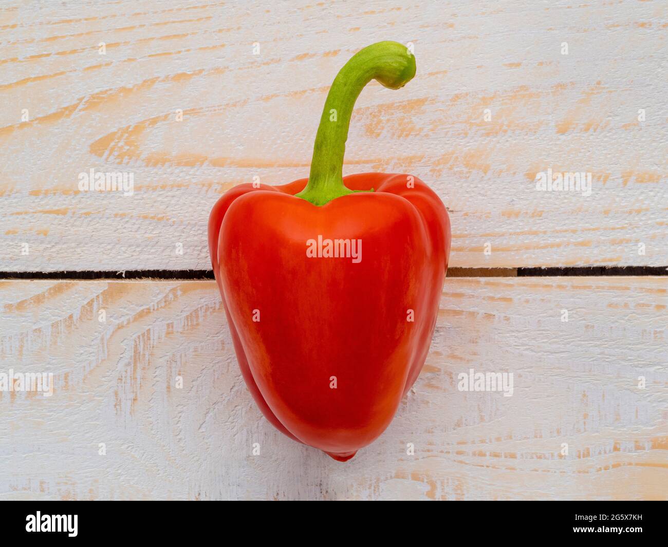 Grundansicht einer roten Paprika auf einem weißen Holzhintergrund. Stockfoto