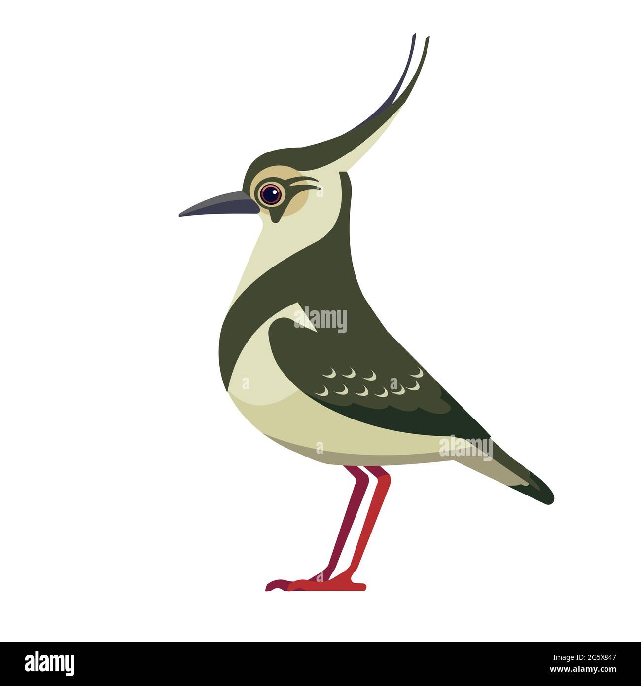 Der nördliche Kiebitz ist Pewit, der grüne Kiebitz, oder einfach nur der Kiebitz, ist ein Vogel in der Unterfamilie der Kiebitz. Vogel Cartoon flachen Stil schönen Charakter von Stock Vektor