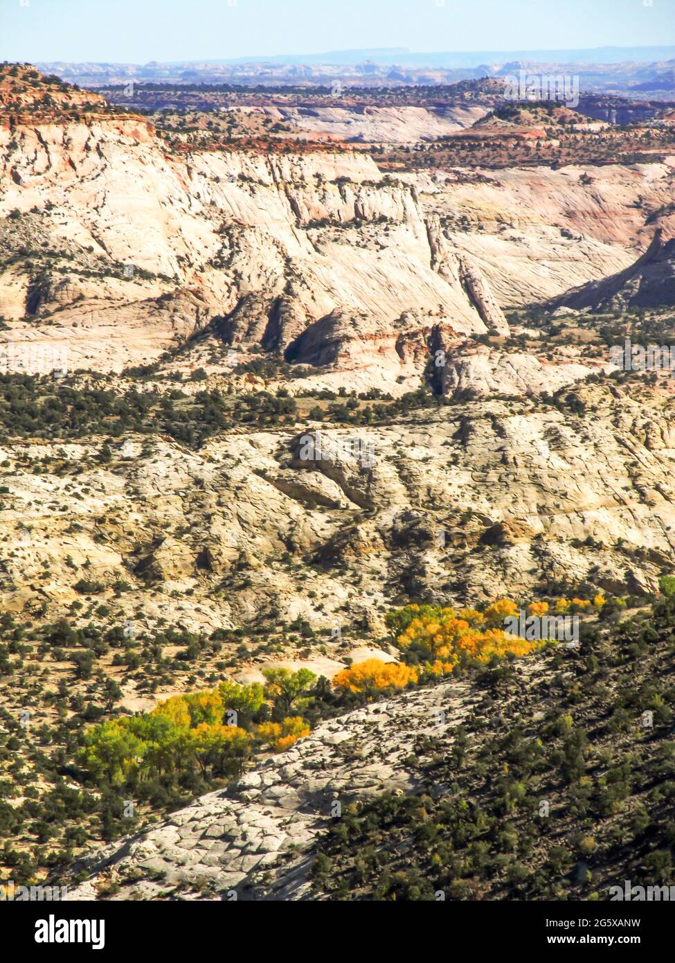 Blick über den Escalante River, in der abgelegenen Bergregion des Grand Staircase-Escalante National Monument, Utah, USA, umrandet von Baumwollwäldern Stockfoto