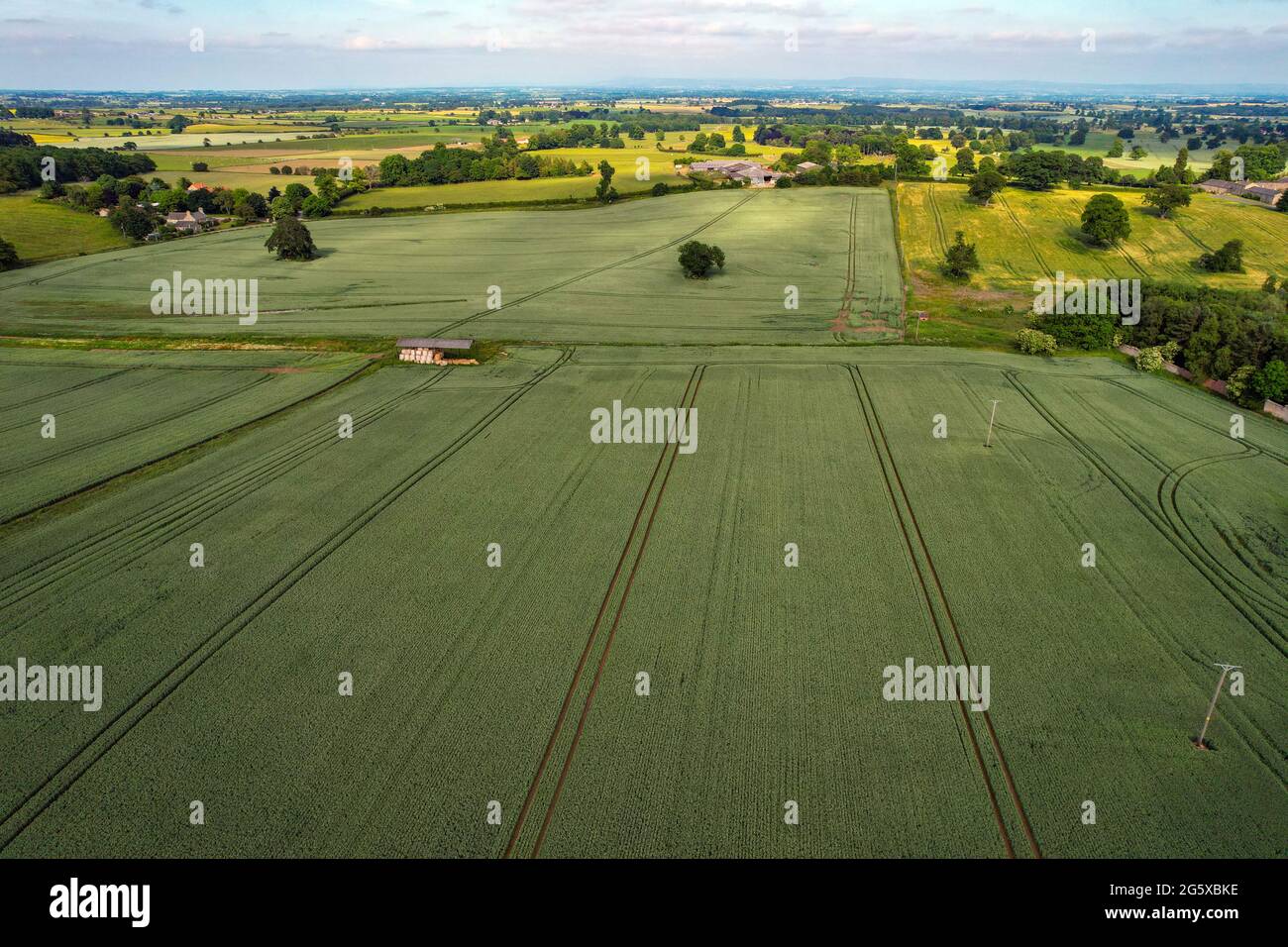 Die Drohne DJI Air 2 fotografiert ausgedehnte Kornfelder in der Nähe von Bedale, North Yorkshire, England Stockfoto