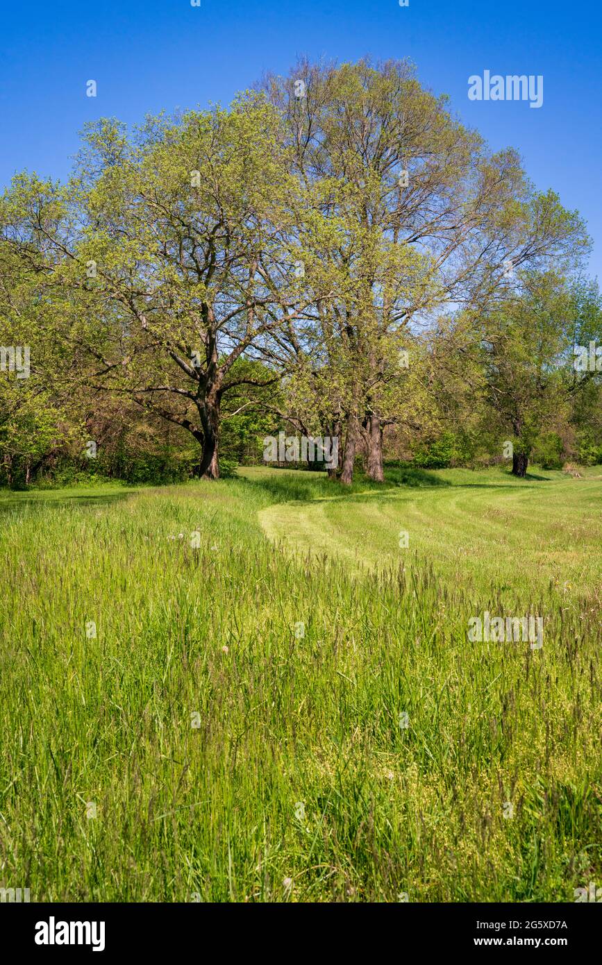 Hopewell Culture National Historical Park Stockfoto