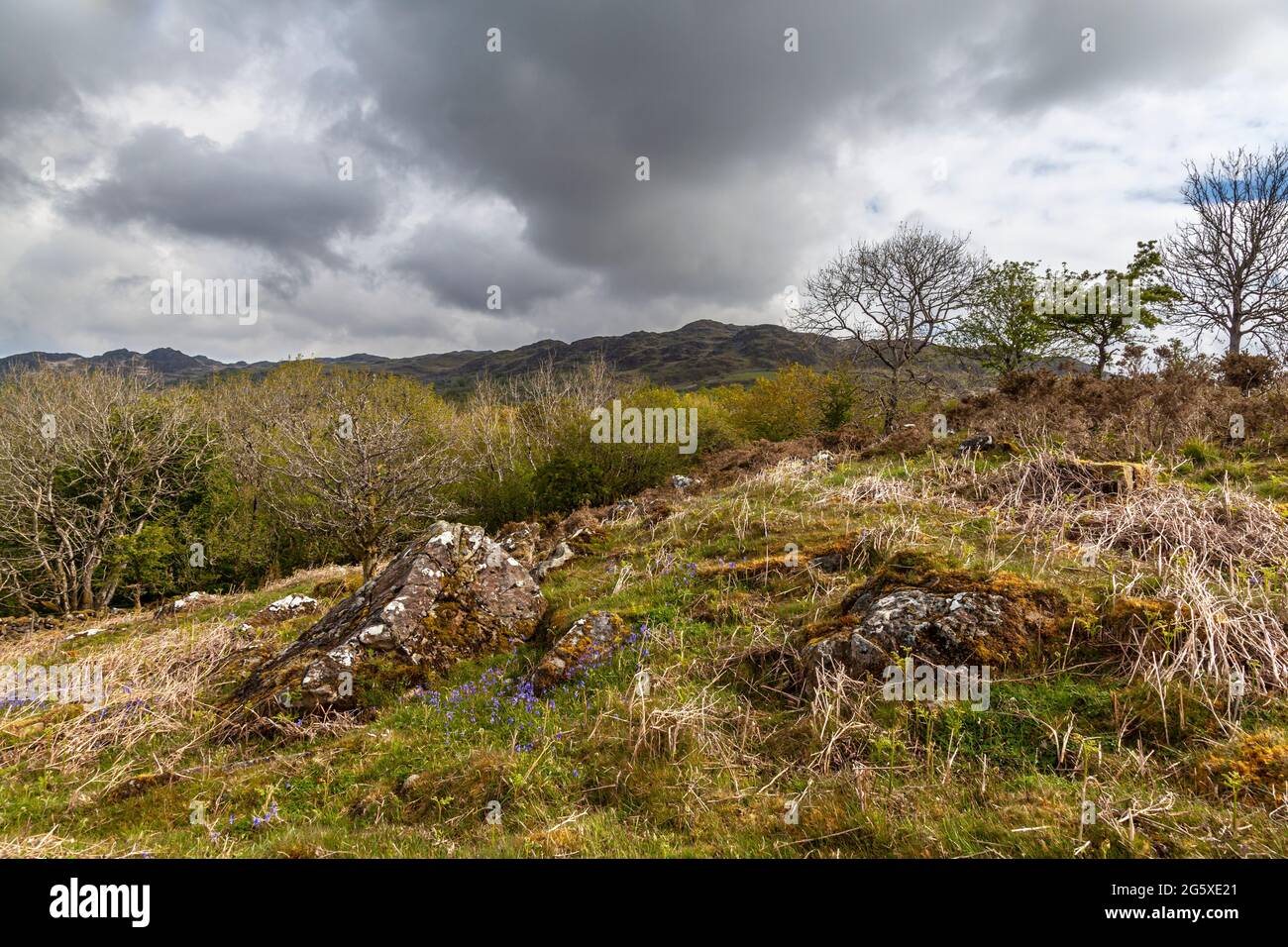 Wolken bilden sich über dem Rhobell Fawr, einem erloschenen Vulkan aus der geologischen Zeit des Ordoviziums, dem Snowdonia National Park Stockfoto