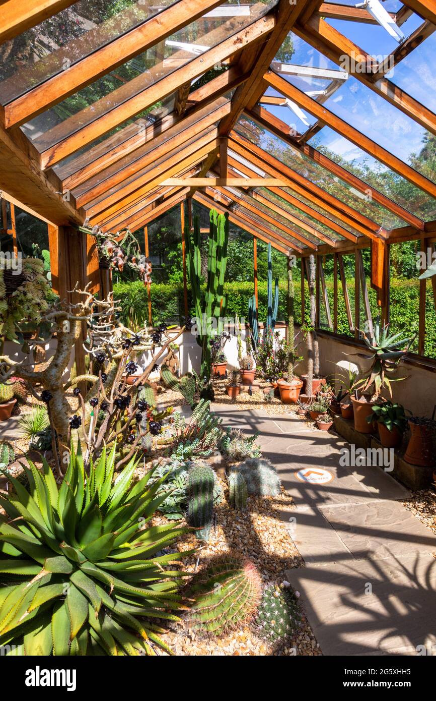 Greenhouse Interior, Winterbourne House and Gardens, Großbritannien Stockfoto