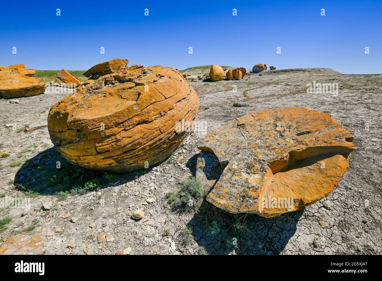 Sphäroide Felsformationen, Red Rock Coulee Natural Area, Alberta, Kanada Stockfoto