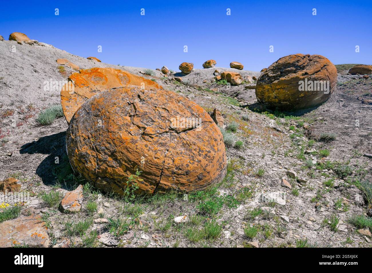 Sphäroide Felsformationen, Red Rock Coulee Natural Area, Alberta, Kanada Stockfoto