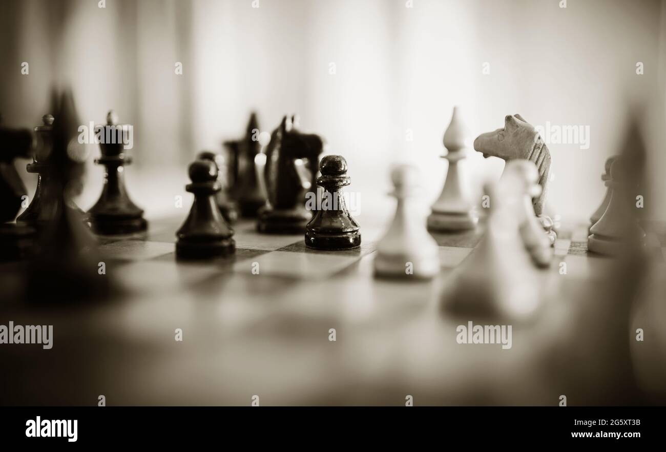 Schachfiguren aus Holz auf dem Schachbrett. Intellektuelles Spiel -Schach. Schachfiguren auf dem Brett. Stockfoto