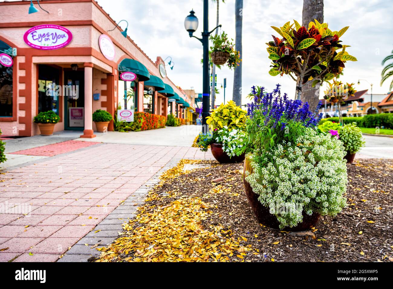 Venedig, USA - 29. April 2018: Kleine Stadt Floridas im Golf von Mexiko mit Gartenpflanzen, Blumen an der Straße auf dem Bürgersteig und niemand Stockfoto