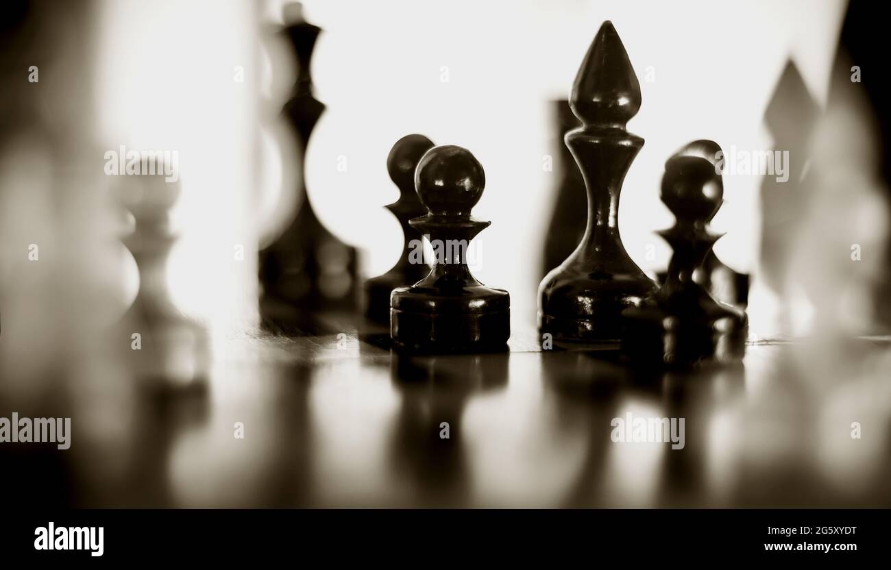 Schachfiguren aus Holz auf dem Schachbrett. Intellektuelles Spiel -Schach. Schachfiguren auf dem Brett. Ein Schachspiel. Silhouetten von Schachfiguren. Stockfoto