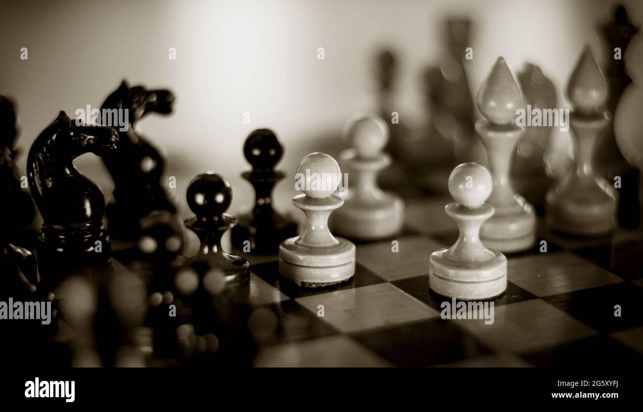 Schachfiguren aus Holz auf dem Schachbrett. Intellektuelles Spiel -Schach. Schachfiguren auf dem Brett. Ein Schachspiel. Stockfoto