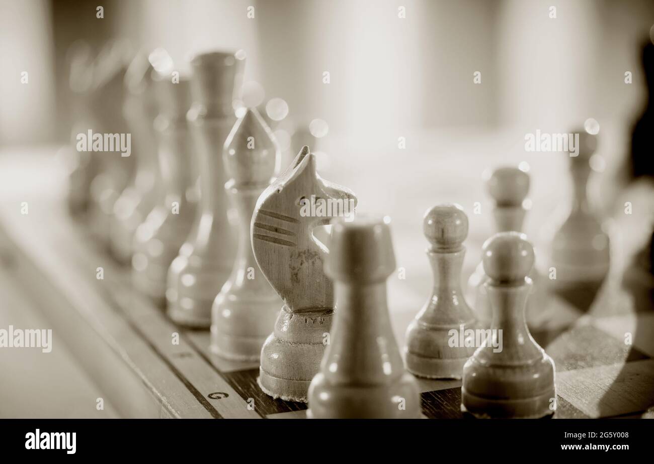 Schachfiguren aus Holz auf dem Schachbrett. Intellektuelles Spiel -Schach. Schachfiguren auf dem Brett. Ein Schachspiel. Stockfoto