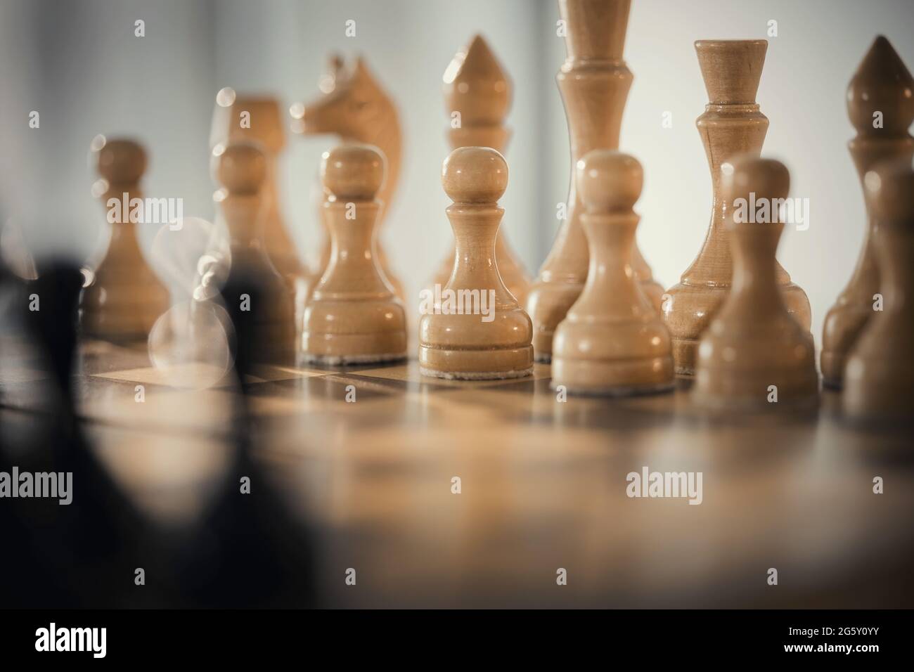 Schachfiguren aus Holz auf dem Schachbrett. Intellektuelles Spiel -Schach. Schachfiguren auf dem Brett. Ein Schachspiel. Stockfoto