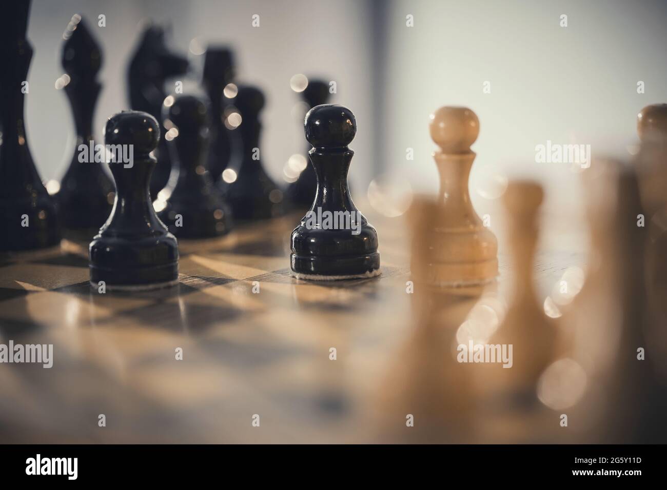 Schachfiguren aus Holz auf dem Schachbrett. Intellektuelles Spiel -Schach. Schachfiguren auf dem Brett. Ein Schachspiel. Stockfoto