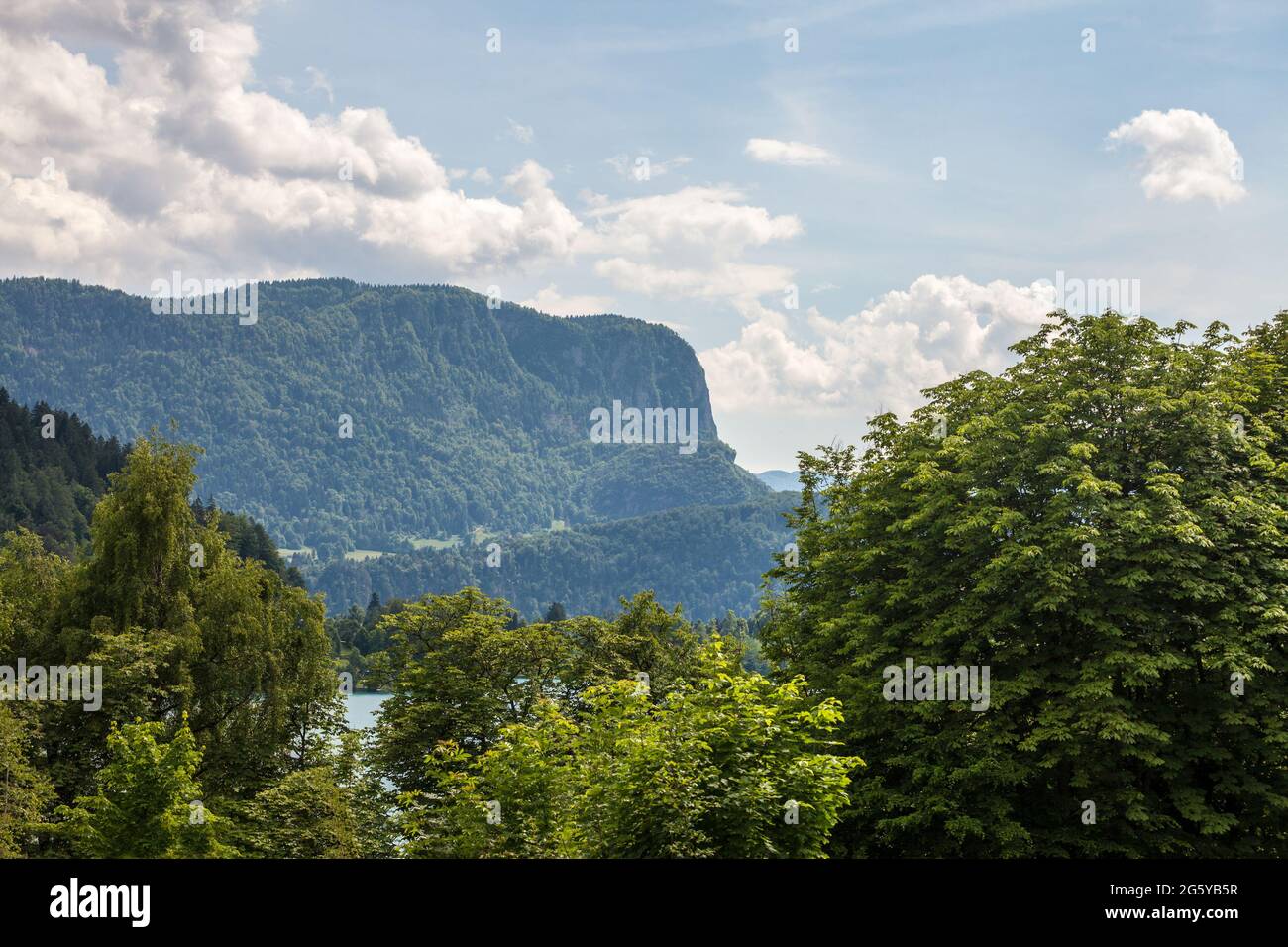 Bild von einem Berg, der zu den Julischen Alpen in Bohinj, Slowenien, führt. Die Julischen Alpen sind eine Gebirgskette der südlichen Kalkalpen, die sich aus dem Süden erstrecken Stockfoto