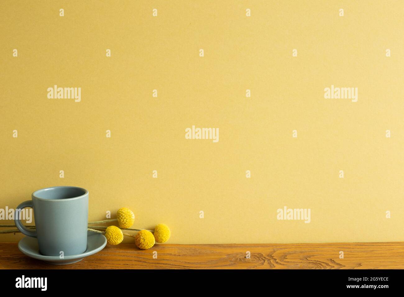Graue Kaffeetasse, trockene Blumen auf Holztisch. Gelber Wandhintergrund Stockfoto