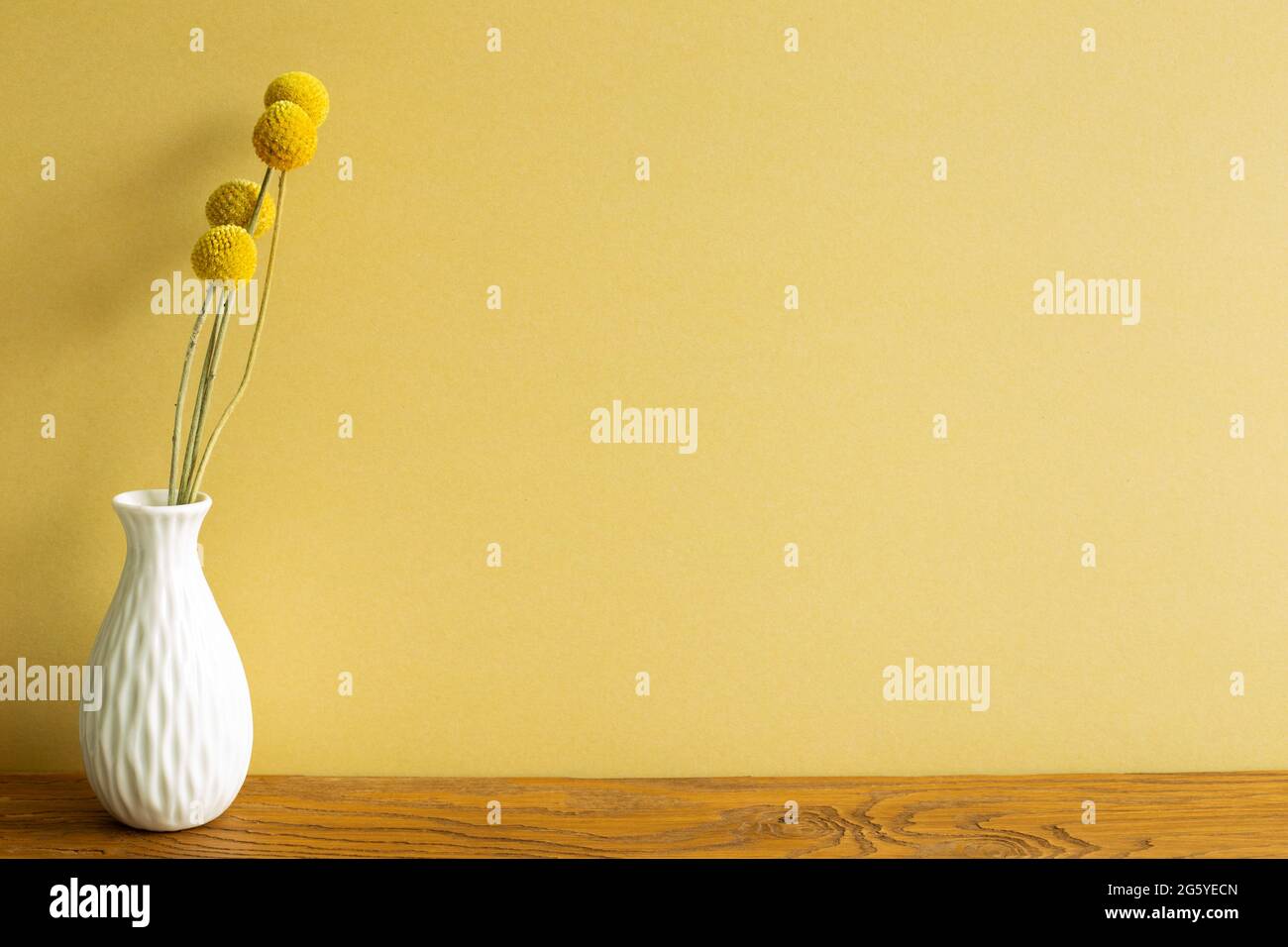 Vase aus gelben Craspedia trockenen Blumen auf Holztisch. Gelbe Wand Hintergrund. Home Interieur Stockfoto