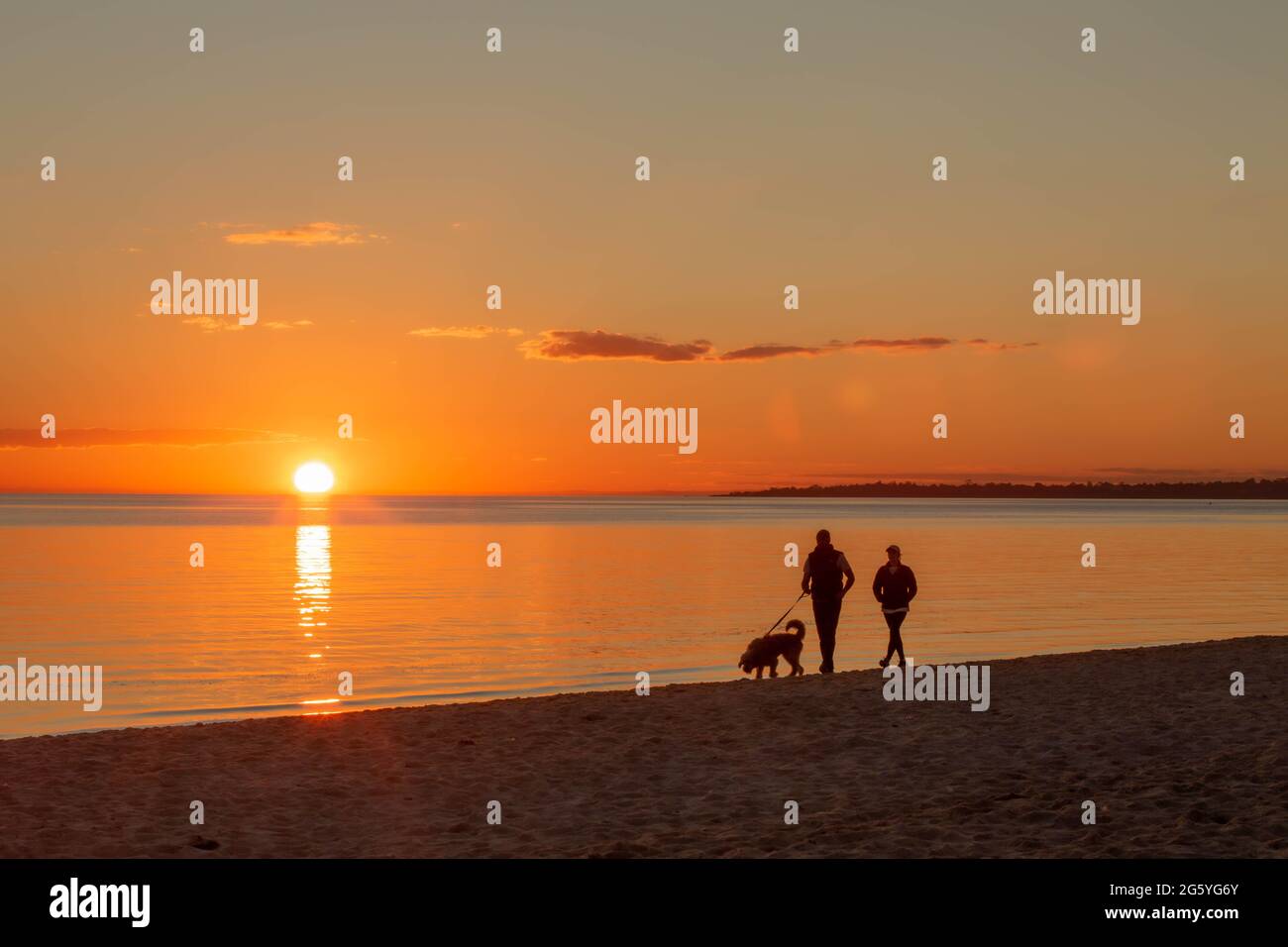 Spaziergang mit dem Hund am Strand Stockfoto