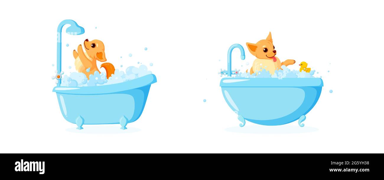 Hundepflege in einer Badewanne mit Gummiente. Set mit chihuahua in Seifenschaum isoliert auf weißem Hintergrund. Vektor-Illustration in niedlichen Cartoon-Stil Stock Vektor