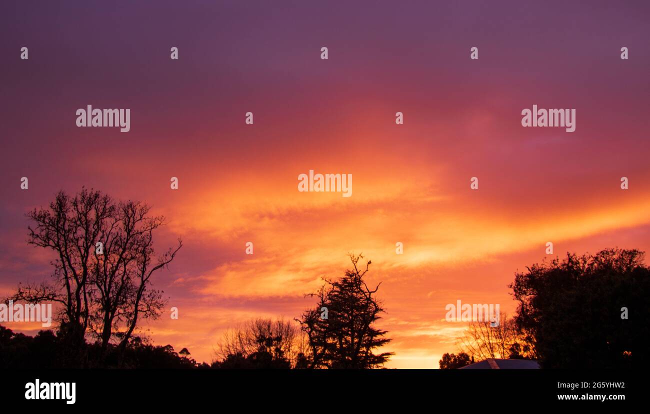 Auffallender orangefarbener Sonnenaufgang über einem ausgetrockneten Baumbild zur Verwendung im Hintergrund Stockfoto