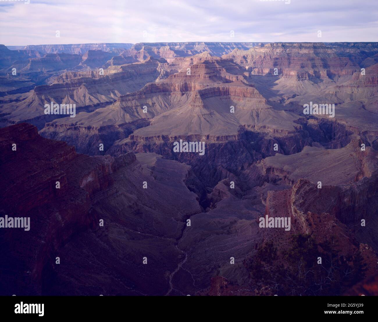 Blick auf den Nordrand des Grand Canyon mit Pfaden und Wegen und der Erosion des Colorado River Stockfoto