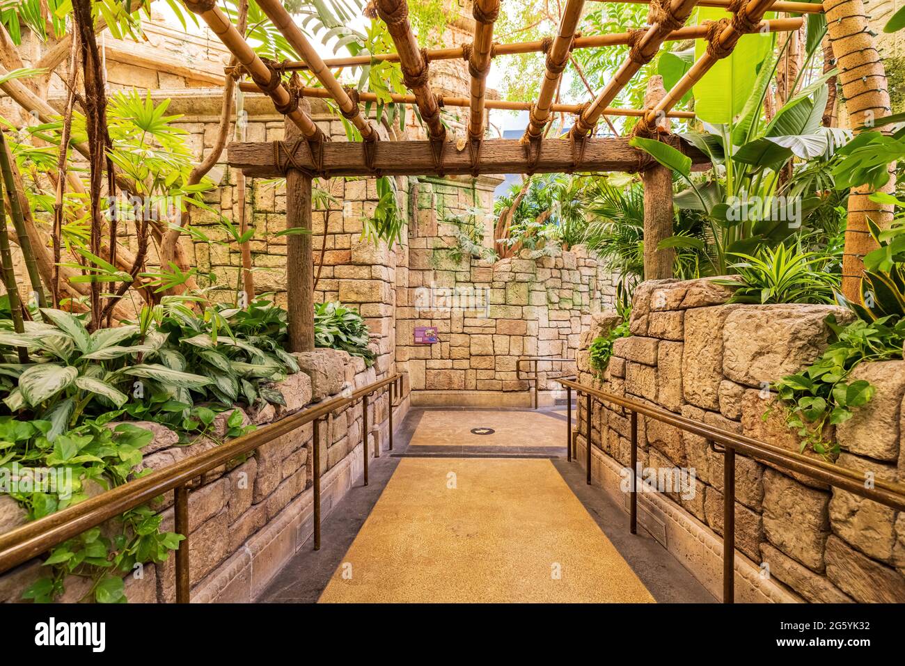 Las Vegas, 29. JUN 2021 - Innenansicht des Shark Reef Aquariums Stockfoto